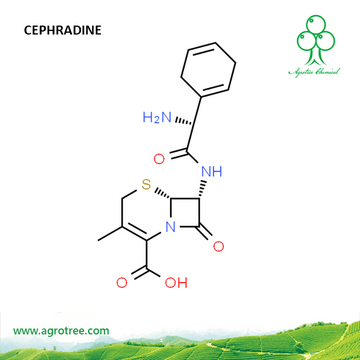 Cephradine  