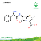 Ampicillin