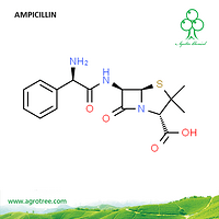 Ampicillin