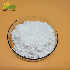 Sample Available Nutritional Fortifier Creatine Monohydrate Powder CAS: 6020-87-7