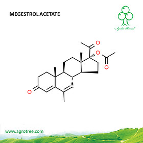 Megestrol Acetate