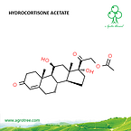 Hydrocortisone Acetate