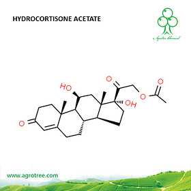 Hydrocortisone Acetate