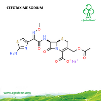 Cefotaxime Sodium