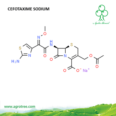 Cefotaxime Sodium