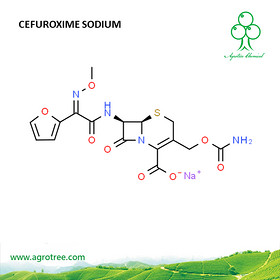 Cefuroxime Sodium