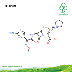 Cefepime
