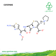 Cefepime