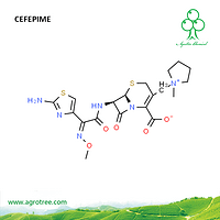 Cefepime