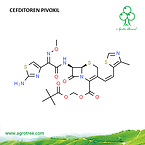 Cefditoren Pivoxil