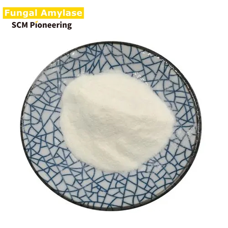 Professional Supplier/Fungal Amylase/Enzyme Food Additive/CAS9000-90-2 Alpha Amylase