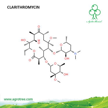 Clarithromycin