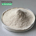 Professional Supplier/Fungal Amylase/Enzyme Food Additive/CAS9000-90-2 Alpha Amylase