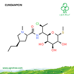 Clindamycin