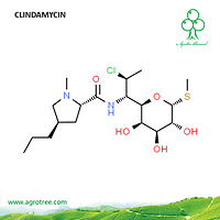 Clindamycin