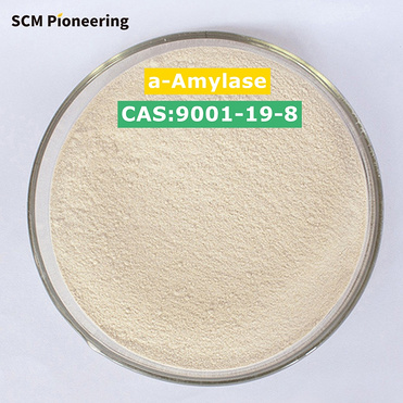 Professional Supplier/Fungal Amylase/Enzyme Food Additive/CAS9000-90-2 Alpha Amylase