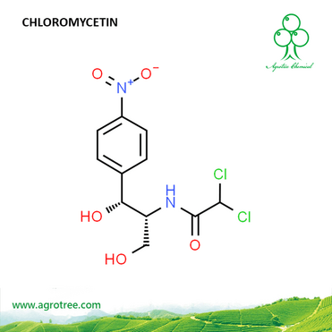 Chloromycetin