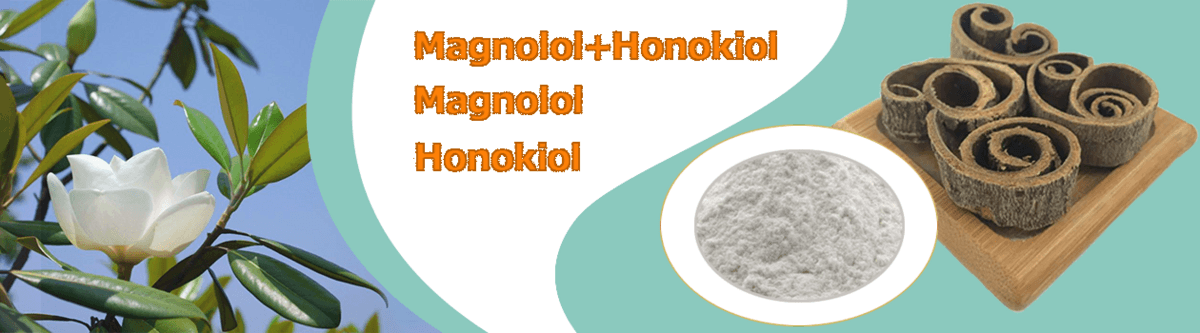 Changsha Staherb Natural Ingredients Co., Ltd.