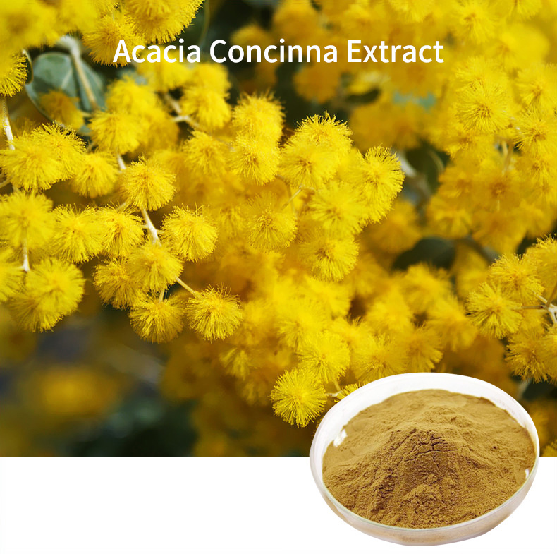 Natural Ingredient Shikakai Powder 10:1 Acacia Concinna Extract  