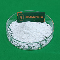 PRAZIQUANTEL