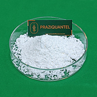 PRAZIQUANTEL