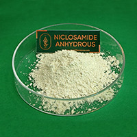 NICLOSAMIDE