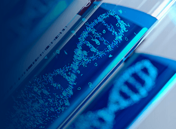 Polynucleotides (PDRN - PN)