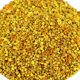 Mixed Bee Pollen