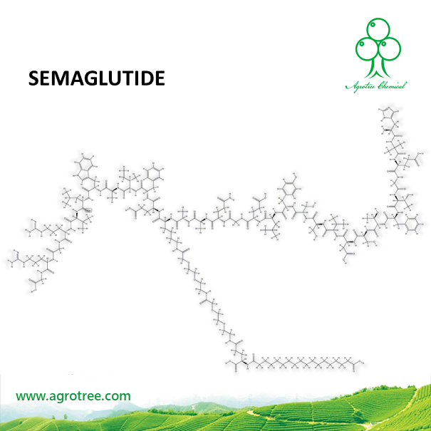 SEMAGLUTIDE