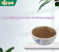 Lyophilized powder of drone pupae