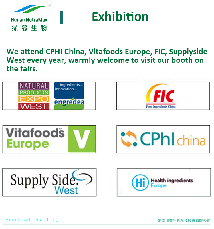 Food Beverage Ingredient Honey Powder