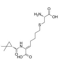 Cilastatin