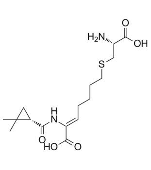 Cilastatin