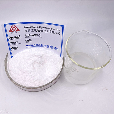 Alpha GPC Powder