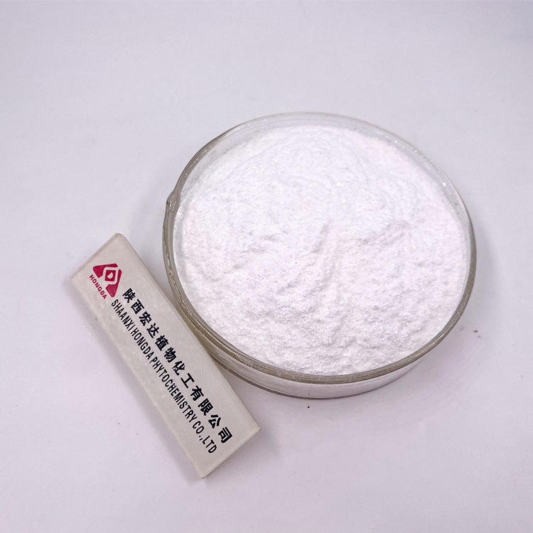 Alpha GPC Powder  