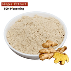 100% Natural ISO Kosher Ginger Extract Powder 10: 1 for Food Supplement