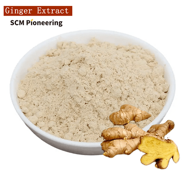 100% Natural ISO Kosher Ginger Extract Powder 10: 1 for Food Supplement