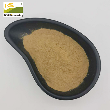 Wholesale Gentian Root Extract Powder Chinese Gentian Extract 5: 1 Gentiopicroside