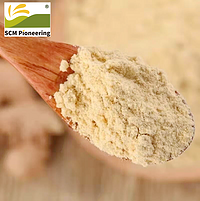100% Natural ISO Kosher Ginger Extract Powder 10: 1 for Food Supplement
