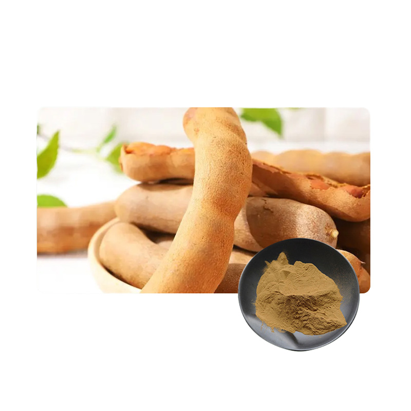 10:1 Natural Tamarindus indica Extract in Bulk