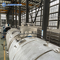 chemical stainless steel salt dryer machine