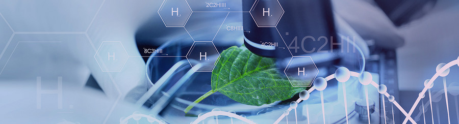 AK Biotech Co.,Ltd