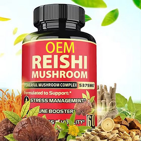 reishi mushroom capsules