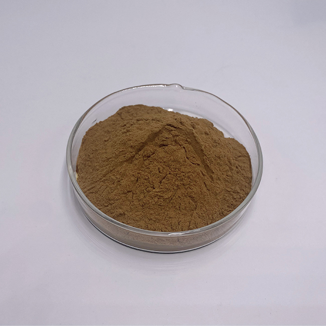 Maca Root Extract  