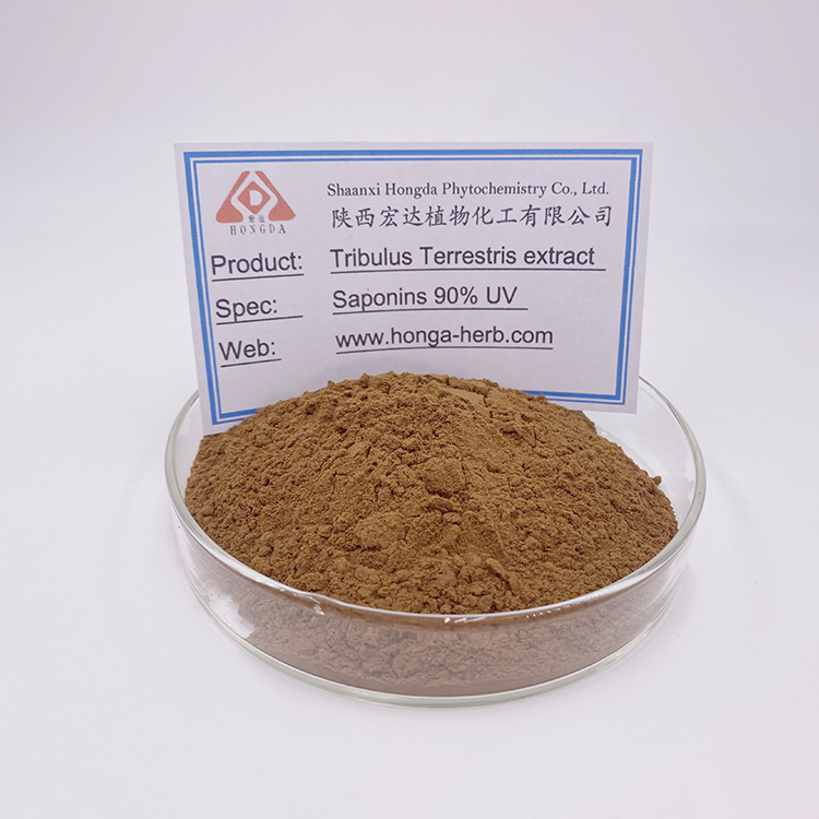 Tribulus Terrestris Extract  