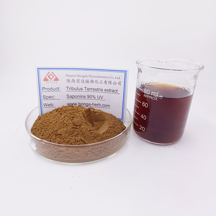 Tribulus Terrestris Extract  