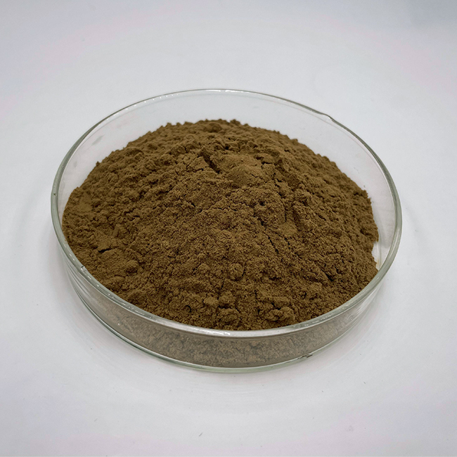 Cistanche deserticola extract  