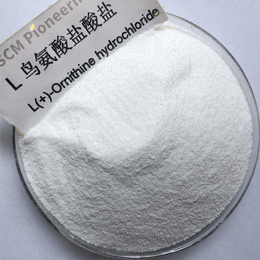 Amino Acid L Ornithine HCl CAS 3184-13-2 L-Ornithine Hydrochloride powder