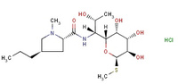 Lincomycin HCL