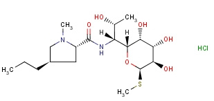 Lincomycin HCL